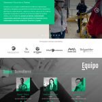 Organización de servicios mediante una grilla limpia y tipografía jerarquizada para facilitar la lectura rápida de la oferta consultiva.